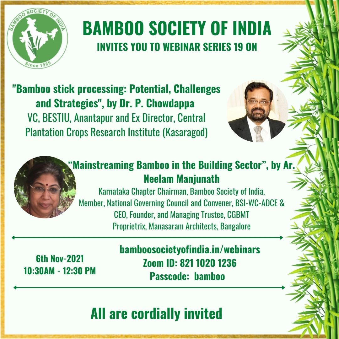 Bamboo Stick Processing: Potential Challenges and Strategies, Mainstreaming Bamboo in the Building Sector