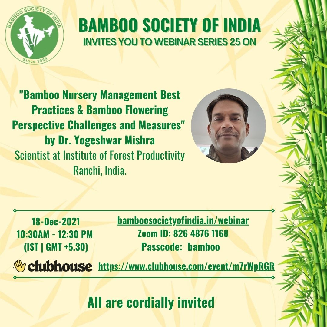 Bamboo Nursery Management Best Practices and Bamboo Flowering  Challenges, Perspectives and Measures