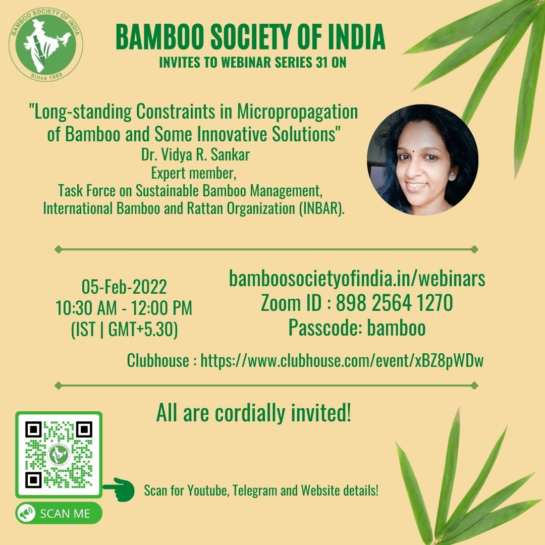 Long-standing Constraints in Micropropagation of Bamboo and Some Innovative Solutions