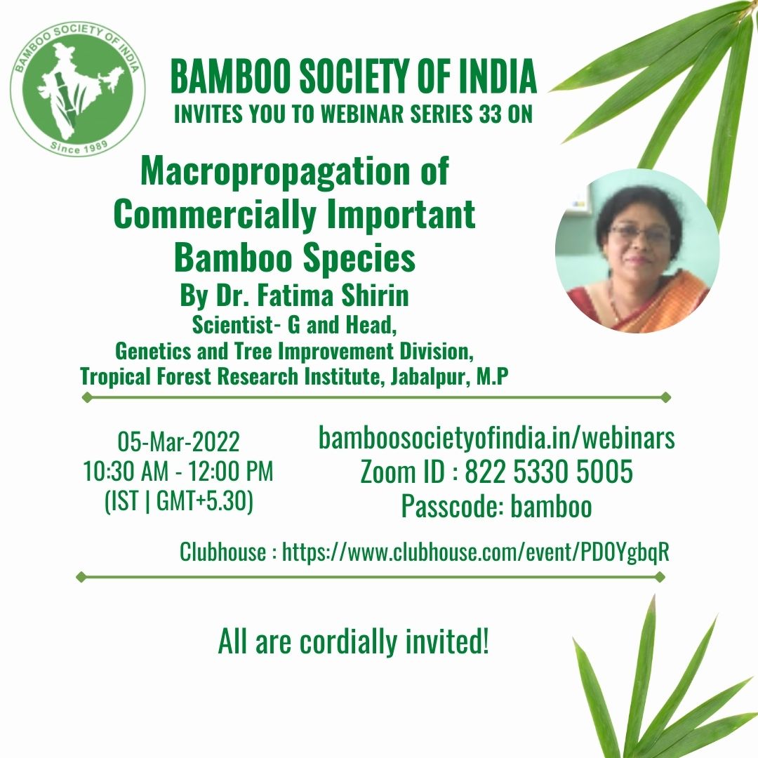 Macropropagation of Commercially Important Bamboo Species